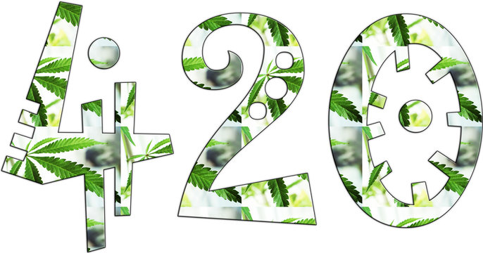 Marijuana 420 Tribal  logo With White Background High Quality 