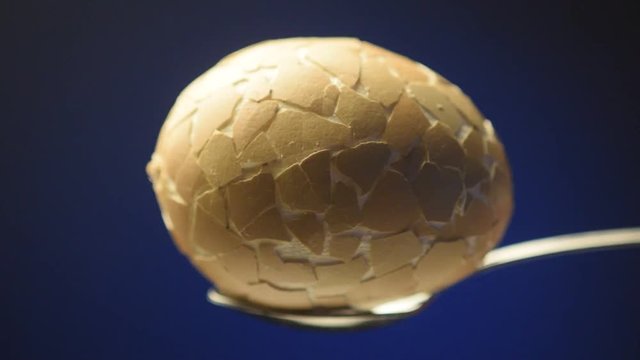 Eendracht maakt macht Royaume de Belgique Contaminated eggs Belgium egg industry made in video food scandal dutch 