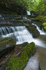 Obraz premium Stream & Waterfalls, Greenbrier, Great Smoky Mountains NP