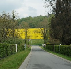 Belleau, France