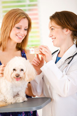 Veterinarian: Woman Holding Pet Cat