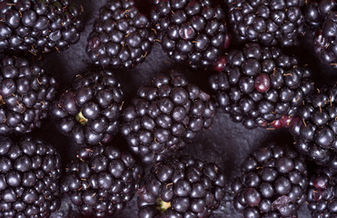 Macro shot of blackberry