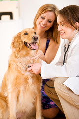 Veterinarian: Woman Holding Pet Cat