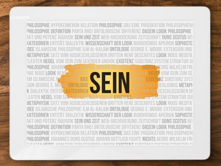 Sein