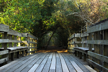 Fototapeta na wymiar Bridge leading to nature