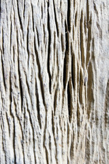 Old Wooden texture background.