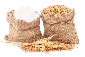  Flour and wheat grain