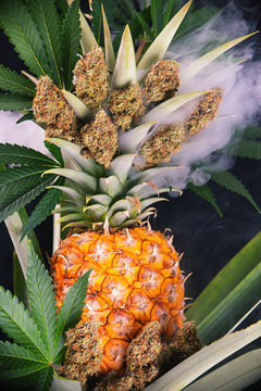 Detail of dried cannabis buds (Green Crack strain) with pineapple plant and fruit
