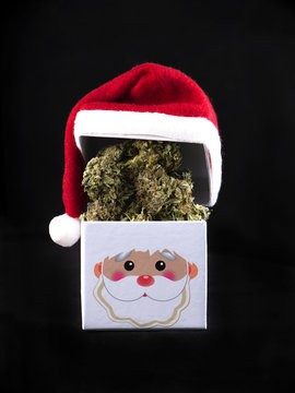 Dried cannabis nugs on box with santa hat - marijuana christmas concept background