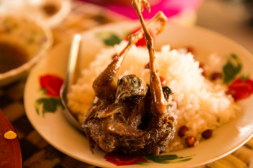 bird, fried bird, rice, Myanmar