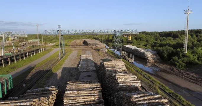 A huge ground for logging