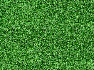 Fototapeta premium Texture green grass. Background of green turf grass. Texture coating of a football field. Green lawn