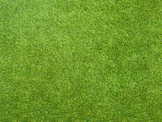 Texture green grass. Background of green turf grass. Texture coating of a football field. Green lawn