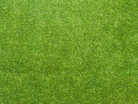 Texture green grass. Background of green turf grass. Texture coating of a football field. Green lawn