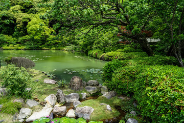 Beautiful lush green japanese garden landscape with shades of green plant, stone and lotus pond on sunny day, Beppu