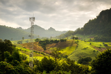 Cell site Post in the nature, telecommunication technology pillar in farm near forest morning.