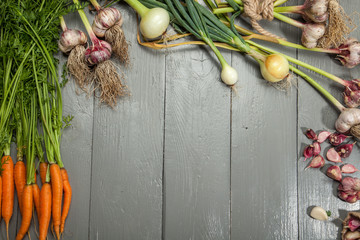 Fresh vegetables, garlic, onions and carrots on a gray wooden background.