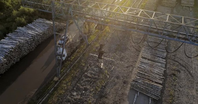Industrial logging in summer