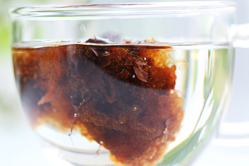 Sterculia lychnophora hance is a species of tree in the genus sterculia, a medicinal herb in a glass cup