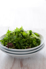 Homemade vegetarian salad, balanced meal