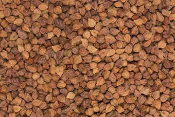 Brown chick pea background