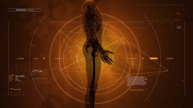 Computer generated background of human body medical scan with data appearing on virtual display