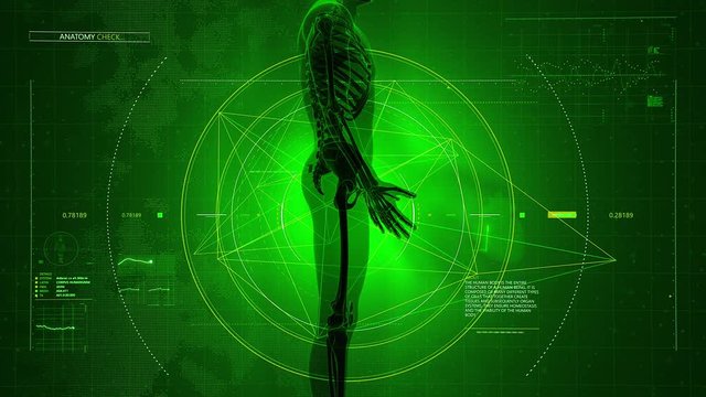 Digitally generated background of human body medical scan with data appearing on green virtual display