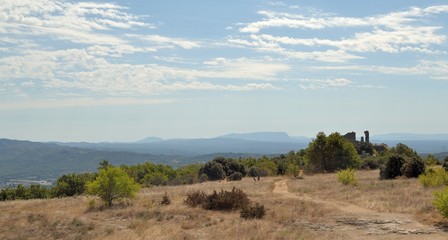 Paysage de Provence en été