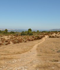 Paysage de Provence en été