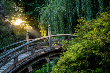 Zen setting of a bridge in a Japanese garden