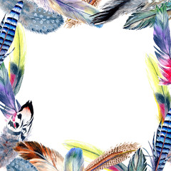 Watercolor bird feather frame from wing. Aquarelle feather for background, texture, wrapper pattern, frame or border.