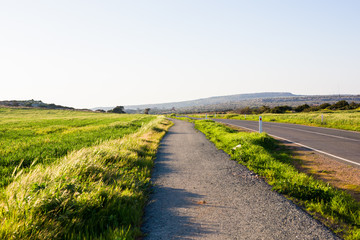 countryside road and green grass in summer day
