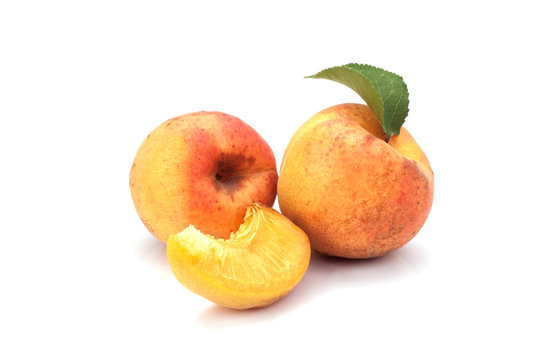 Apricot