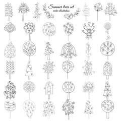 Hand Drawn Monochrome Floral Elements Set