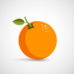 Vector illustration of fresh orange