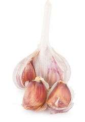 Fresh garlic