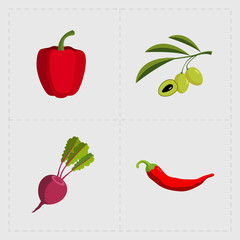 Colorful Vegetable Icon Set on White Background
