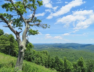 Fototapeta premium Mountain scenery along the Blue Ridge Parkway