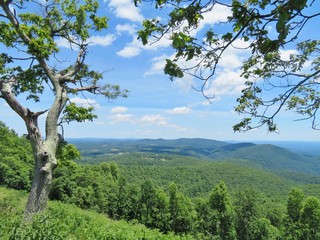 Mountain scenery along the Blue Ridge Parkway