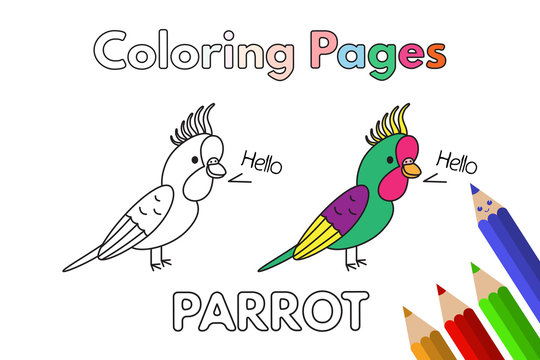Cartoon Parrot Coloring Book
