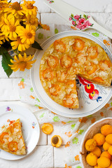 Apricot and  Almond Olive Oil Cake