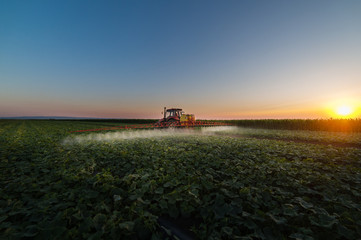 Fototapeta premium Tractor spraying soybean field at spring
