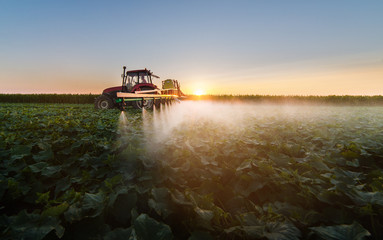 Tractor spraying soybean field