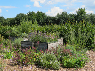 Hochbeet im Kräutergarten