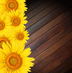 Sunflowers on old wood background
