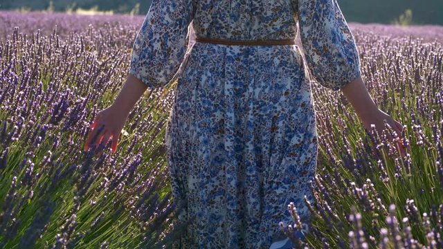 
00:04 | 00:21
1&times;

High quality shot of woman walks through the field of lavender. Provence, France
