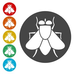Fly icon, insect icons set - Illustration