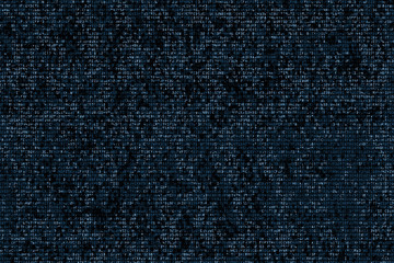 Computer digital background with source code