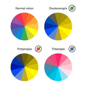 vector illustration, infographics, color wheel, palette, normal