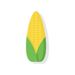 Corn icon vector illustration